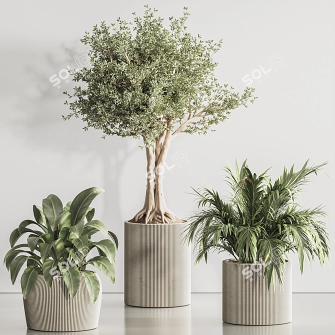 Elegant Indoor Plant Set 132 3D model image 3