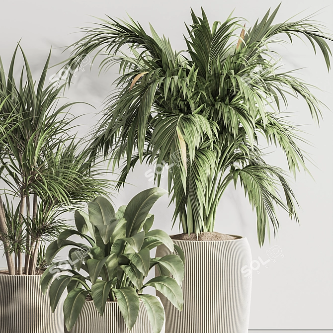 Elegant Indoor Plant Set 132 3D model image 4