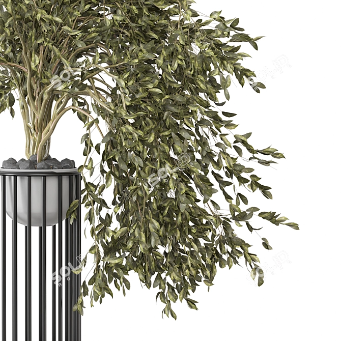 3D Indoor Plants Collection Set 3D model image 2