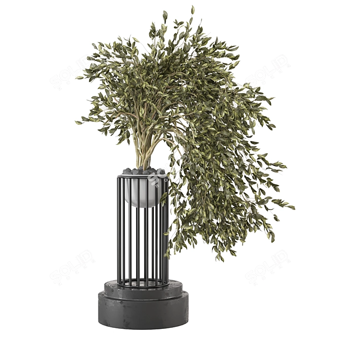 3D Indoor Plants Collection Set 3D model image 3