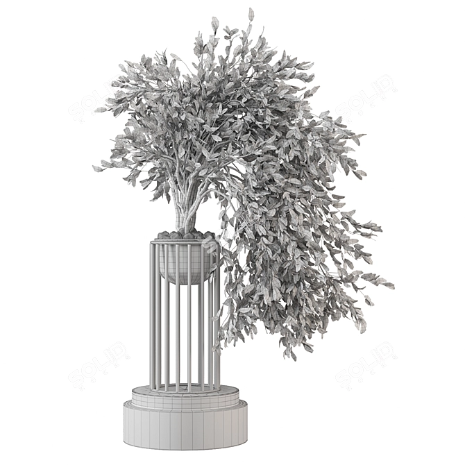 3D Indoor Plants Collection Set 3D model image 4