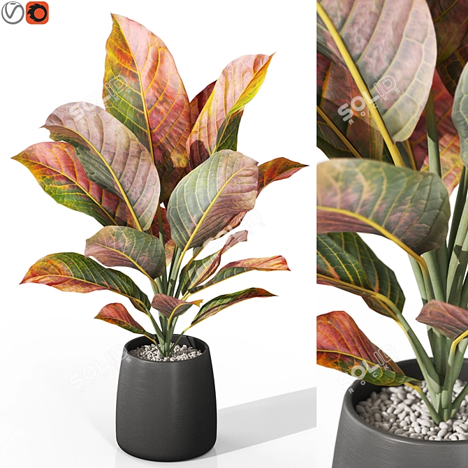  Plants Collection 1037: 3D Model 3D model image 1