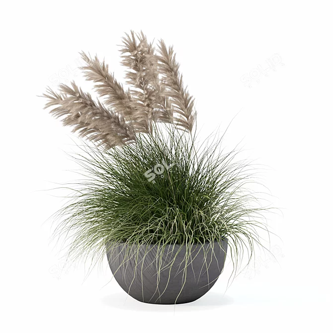 Modern Pot Grass Plants Collection 3D model image 4