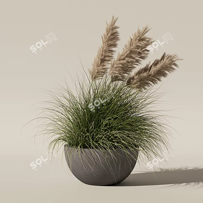 Modern Pot Grass Plants Collection 3D model image 6