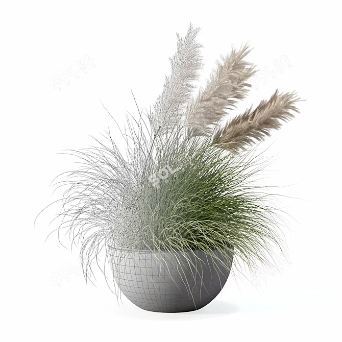 Modern Pot Grass Plants Collection 3D model image 7