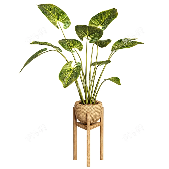 Sure, based on the provided description, the unique title for the product could be: 
Leafy Charm Indoor Plant 3D model image 1