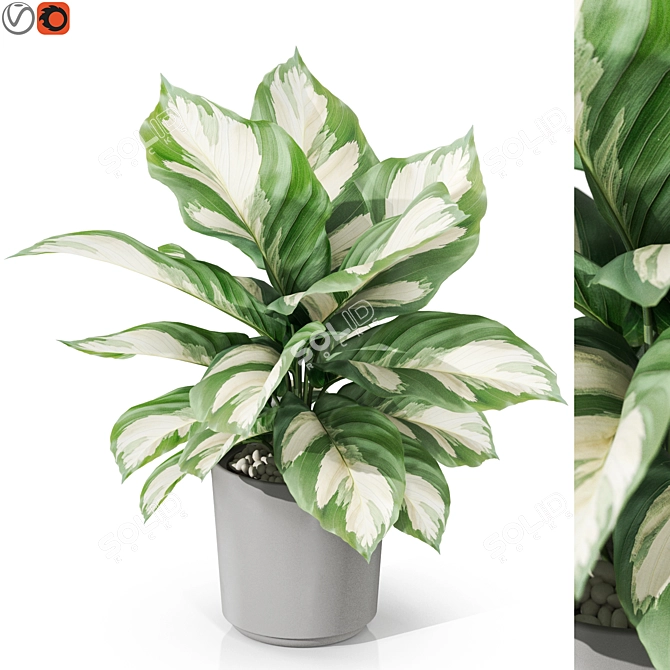 Botanical Collection 1038: Detailed Foliage 3D model image 1