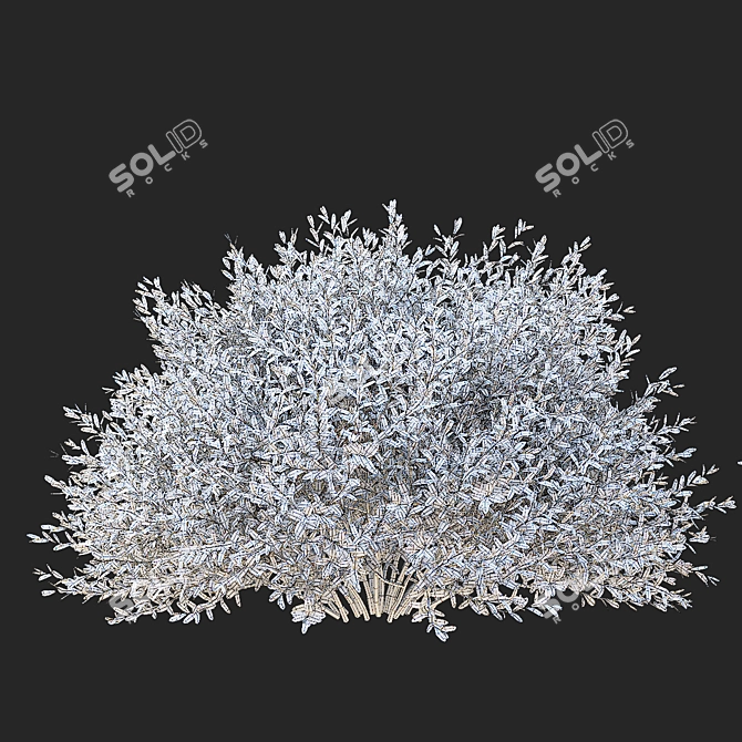 Gray Spiraea Trimmed Bushes Kit 3D model image 6