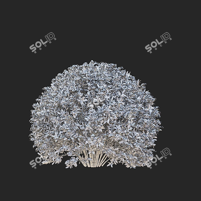 Gray Spiraea Trimmed Bushes Kit 3D model image 7