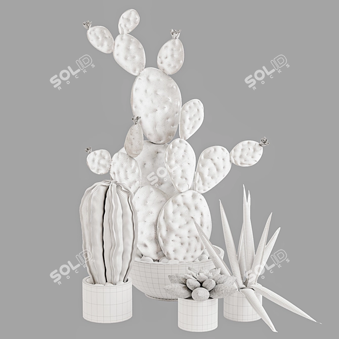 Rustic Plant Décor Set 3D model image 4