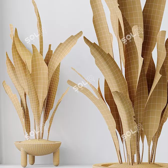 Durable Aspidistra Elatior Indoor Plant 3D model image 5