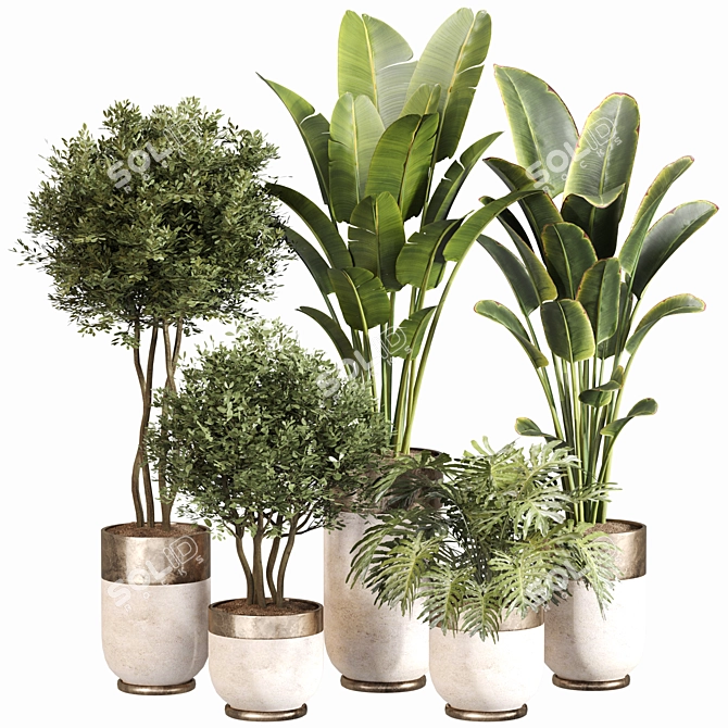 Modern Indoor Plant Set 045 3D model image 1