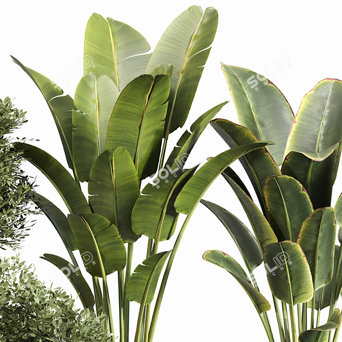 Modern Indoor Plant Set 045 3D model image 3