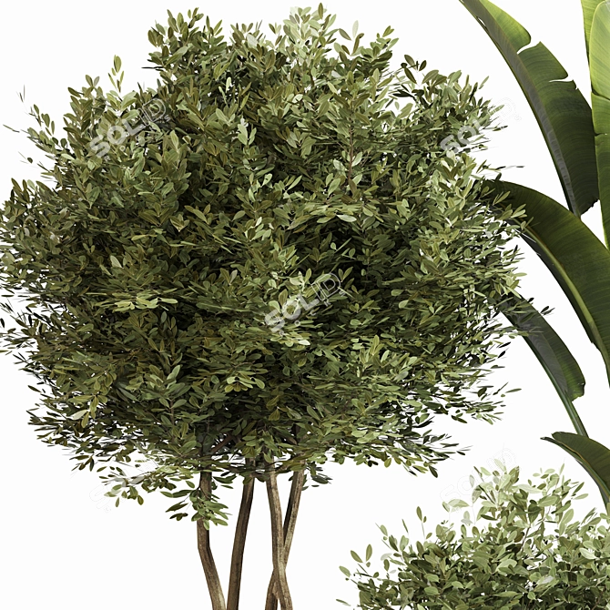 Modern Indoor Plant Set 045 3D model image 4