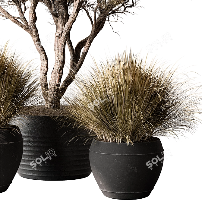 Green Oasis Tree in Pot 3D model image 3