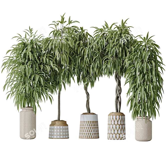 Variety of Huge Ficus Models 3D model image 1