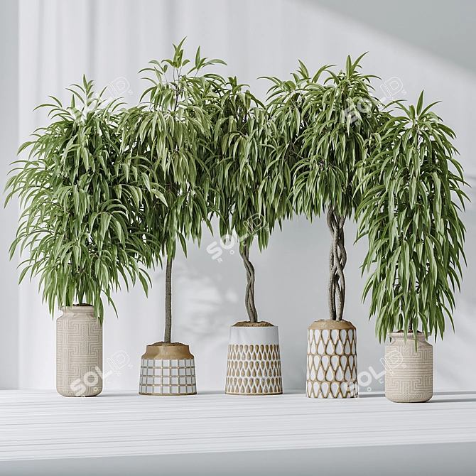 Variety of Huge Ficus Models 3D model image 2