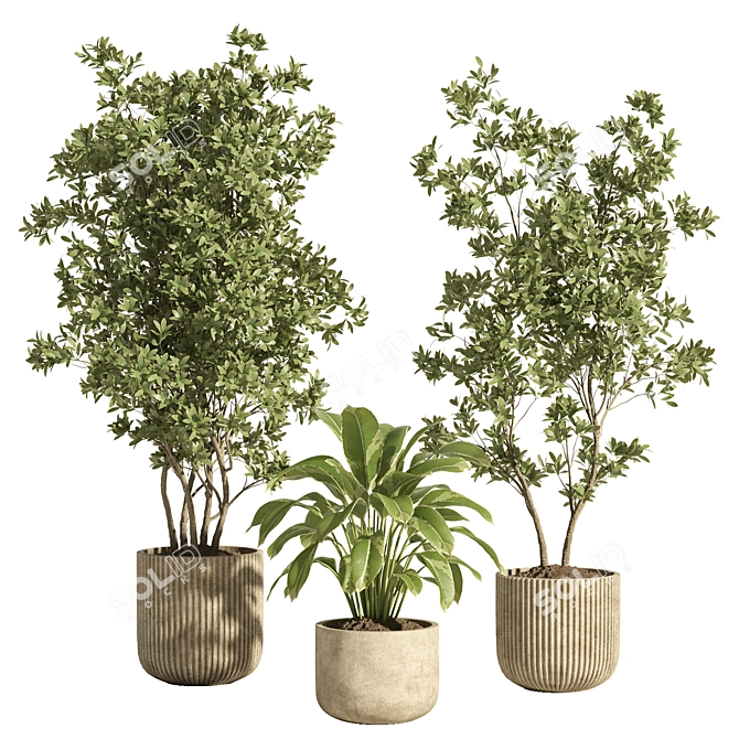 Modern Indoor Plant Set 69 3D model image 2