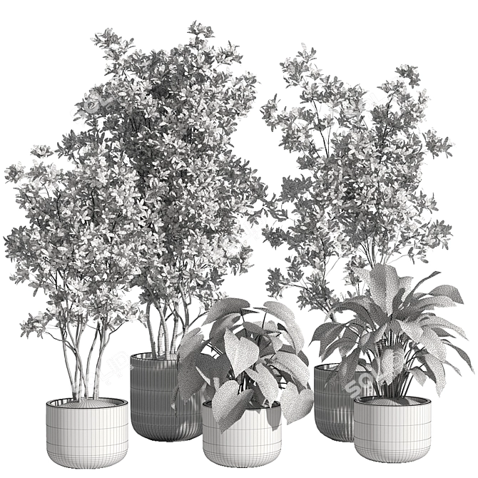 Modern Indoor Plant Set 69 3D model image 4