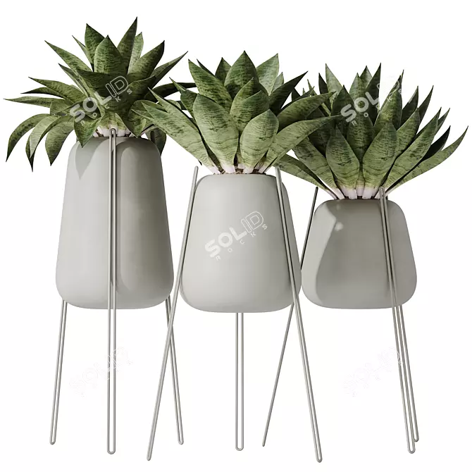 Modern Snake Plant Set 3D 3D model image 1