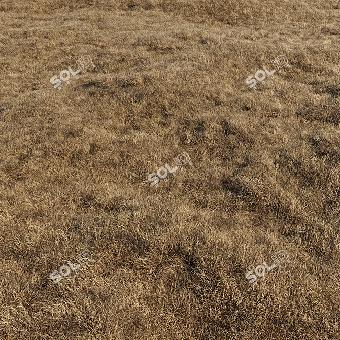 High-Quality Dried Grass Pack 3D model image 1