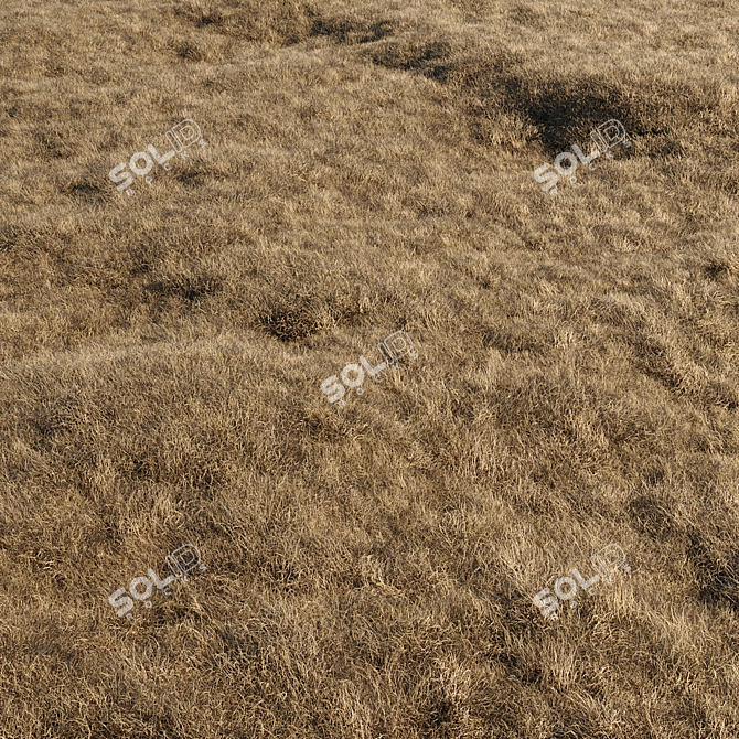 High-Quality Dried Grass Pack 3D model image 2