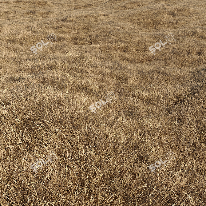 High-Quality Dried Grass Pack 3D model image 3