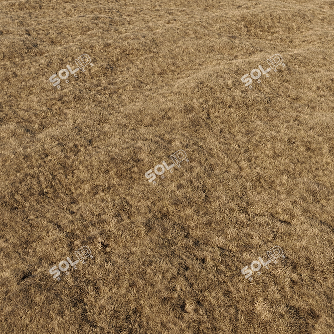 High-Quality Dried Grass Pack 3D model image 4