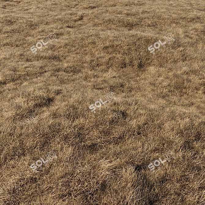 High-Quality Dried Grass Pack 3D model image 5