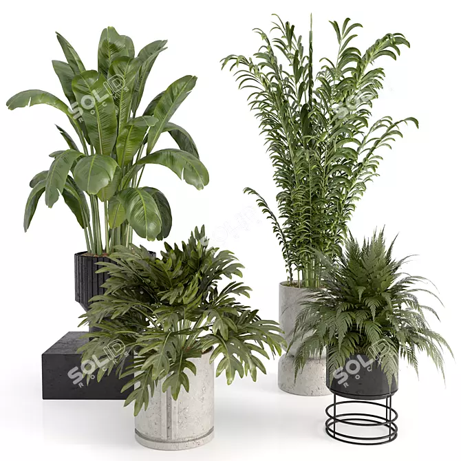  Modern Indoor Plant Collection 3D model image 1