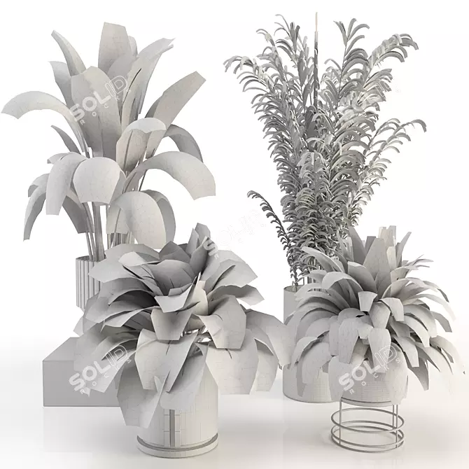  Modern Indoor Plant Collection 3D model image 3