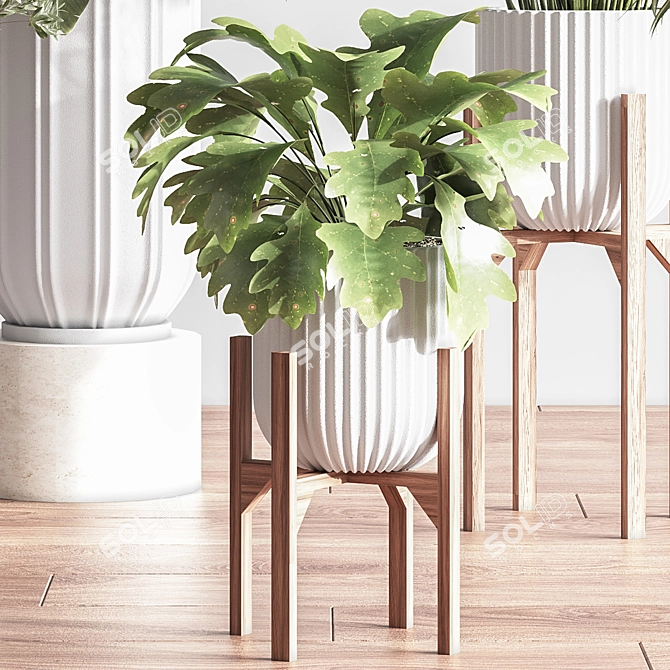 Lush Indoor Plant Set 3D model image 4