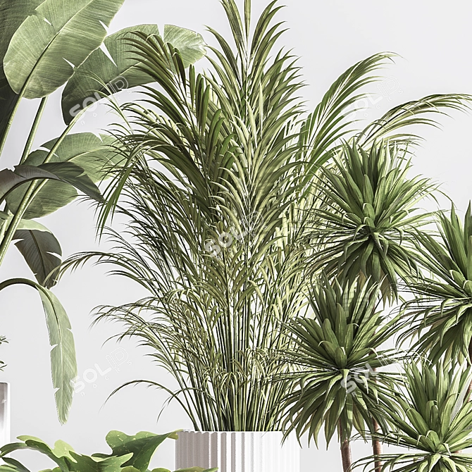 Lush Indoor Plant Set 3D model image 6