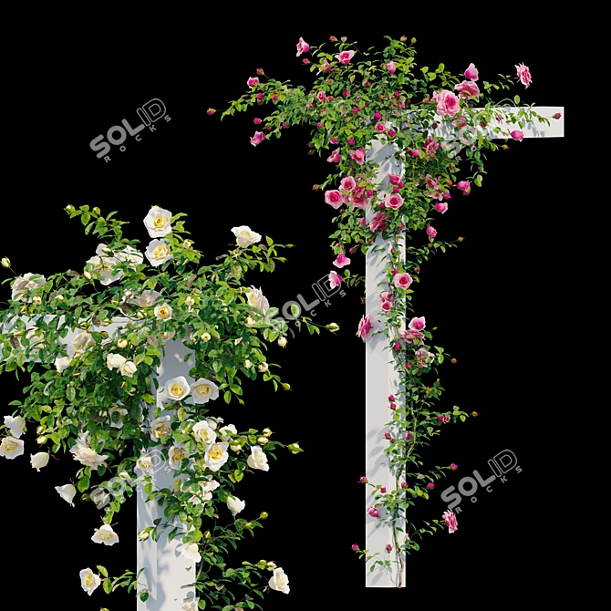 Title: Colorful Climbing Rose Flowers 3D model image 2