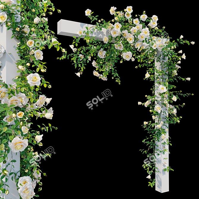 Title: Colorful Climbing Rose Flowers 3D model image 4