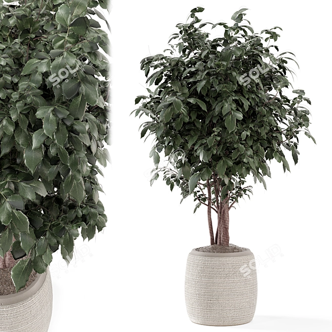 Rusty Concrete Pot Indoor Plants 3D model image 1