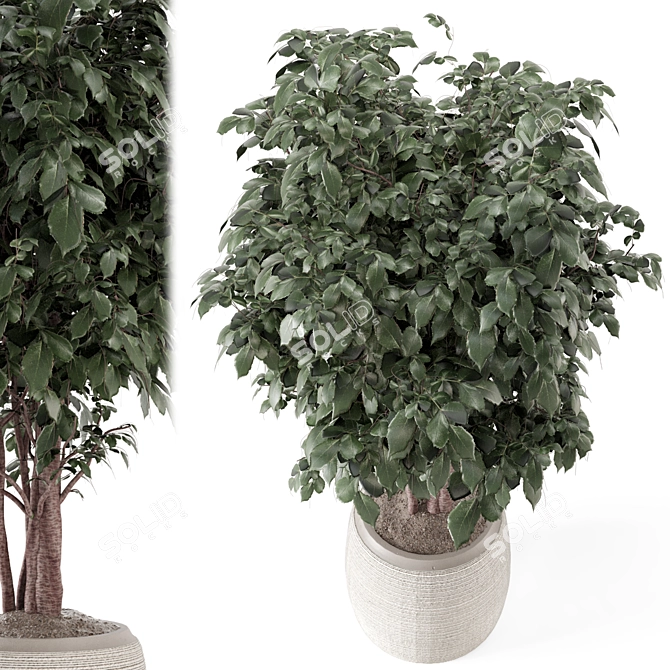 Rusty Concrete Pot Indoor Plants 3D model image 2