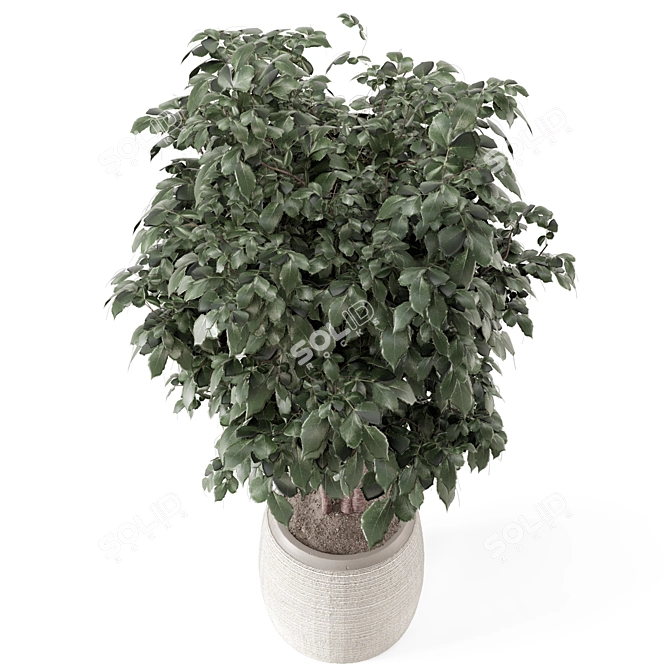 Rusty Concrete Pot Indoor Plants 3D model image 4