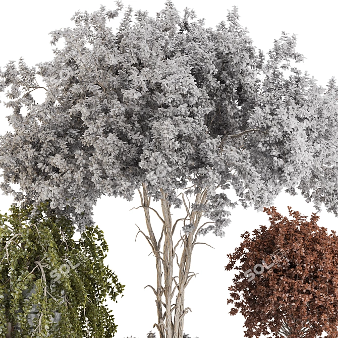 Color-Changing Bonsai Tree 3D Model 3D model image 5