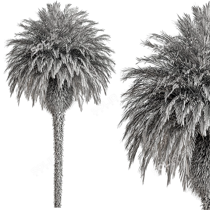  Palm Tree Set 288 3D model image 4