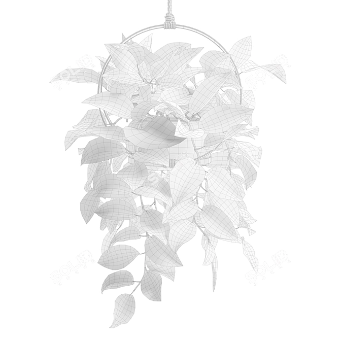 Tropical Swiss Cheese Vine Plant 3D model image 3
