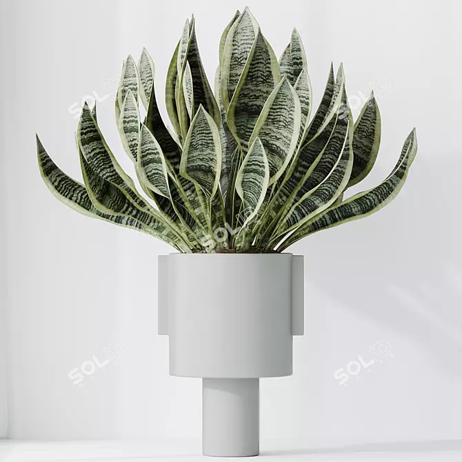 Elegant Snake Plant Set - Feng Shui Greens 3D model image 2