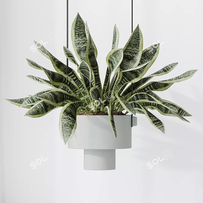 Elegant Snake Plant Set - Feng Shui Greens 3D model image 4