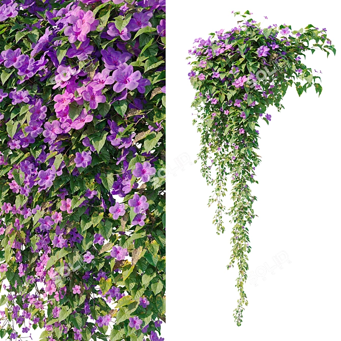 Dual Hanging Plants Set: 2m & 0.6m 3D model image 3