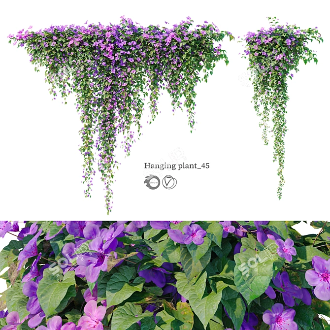 Dual Hanging Plants Set: 2m & 0.6m 3D model image 6