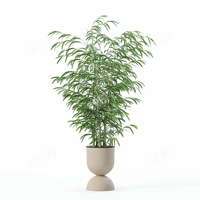 Modern Bamboo Plant in Pot 3D model image 3