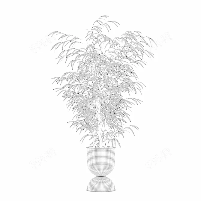 Modern Bamboo Plant in Pot 3D model image 6
