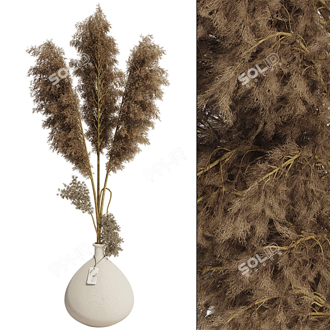 Minimal Pampas Grass Vase Bundle 3D model image 1