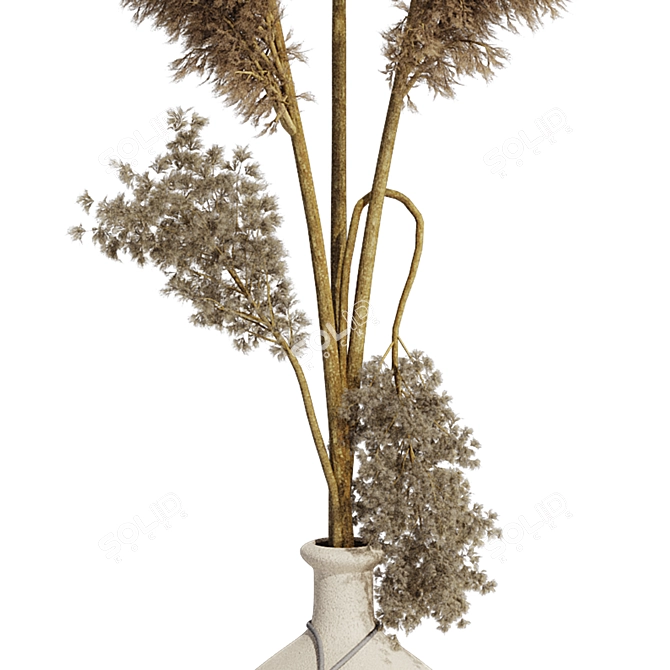 Minimal Pampas Grass Vase Bundle 3D model image 4