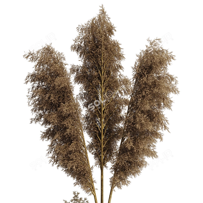 Minimal Pampas Grass Vase Bundle 3D model image 5